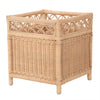 Square Rattan Planter Stand - for Indoor Plants