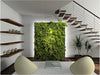 EARTH DAY AND YOUR INTERIORS: IDEAS AND INSPIRATIONS