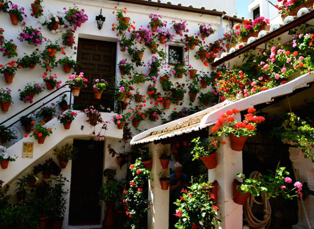 OUTDOOR LIVING: THE SUMMER PATIO