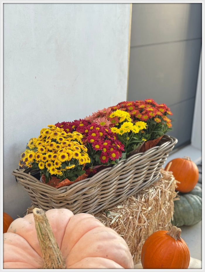 12 Budget-Friendly Fall Decor Ideas to Cozy Up Your Home