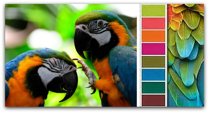 CREATE YOUR OWN TROPICAL PARADISE FOR SUMMER 2015