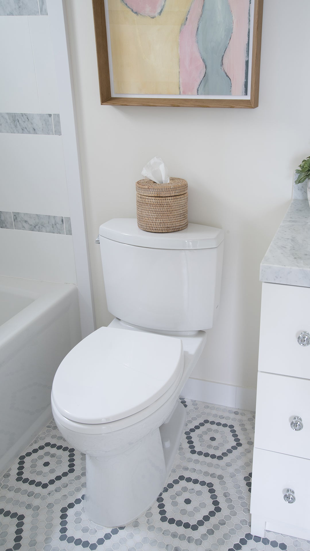 La Jolla Toilet Paper Roll Cover