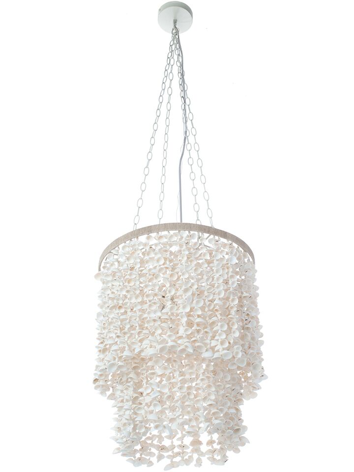 Kouboo Drum Clamrose Seashell Pendant Lamp On White Background 