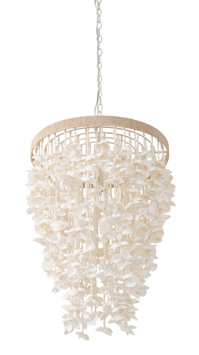 Cone Clamrose Seashell Chandelier, White