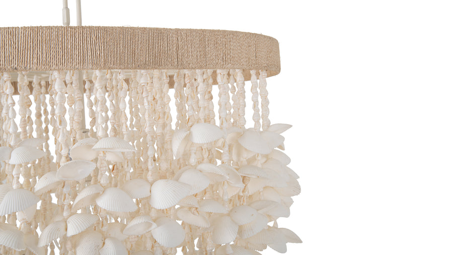 Cone Clamrose Seashell Chandelier, White