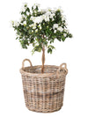 Kobo Rattan Round Basket & Planter, Gray