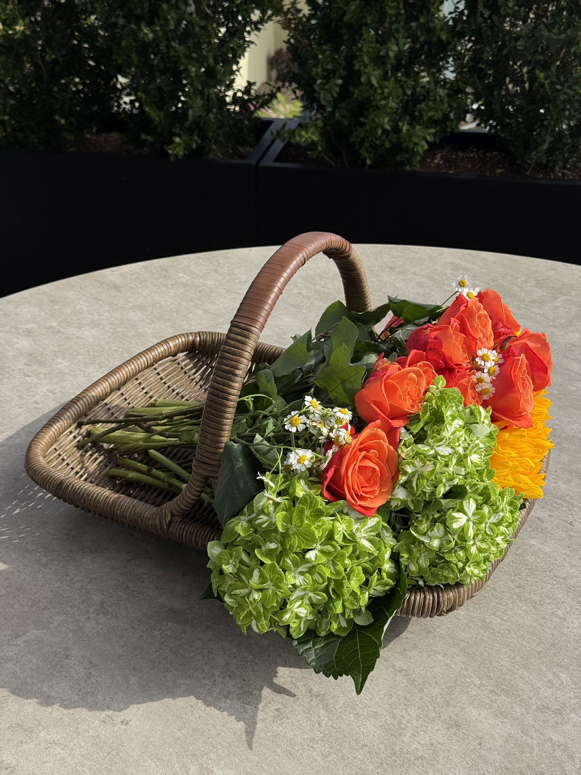 Vegetable and Flower Wicker Basket with Leather Wrapped Arch Handle, Natural Color
