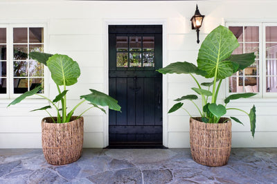 Madras Indoor Planter/Large Basket