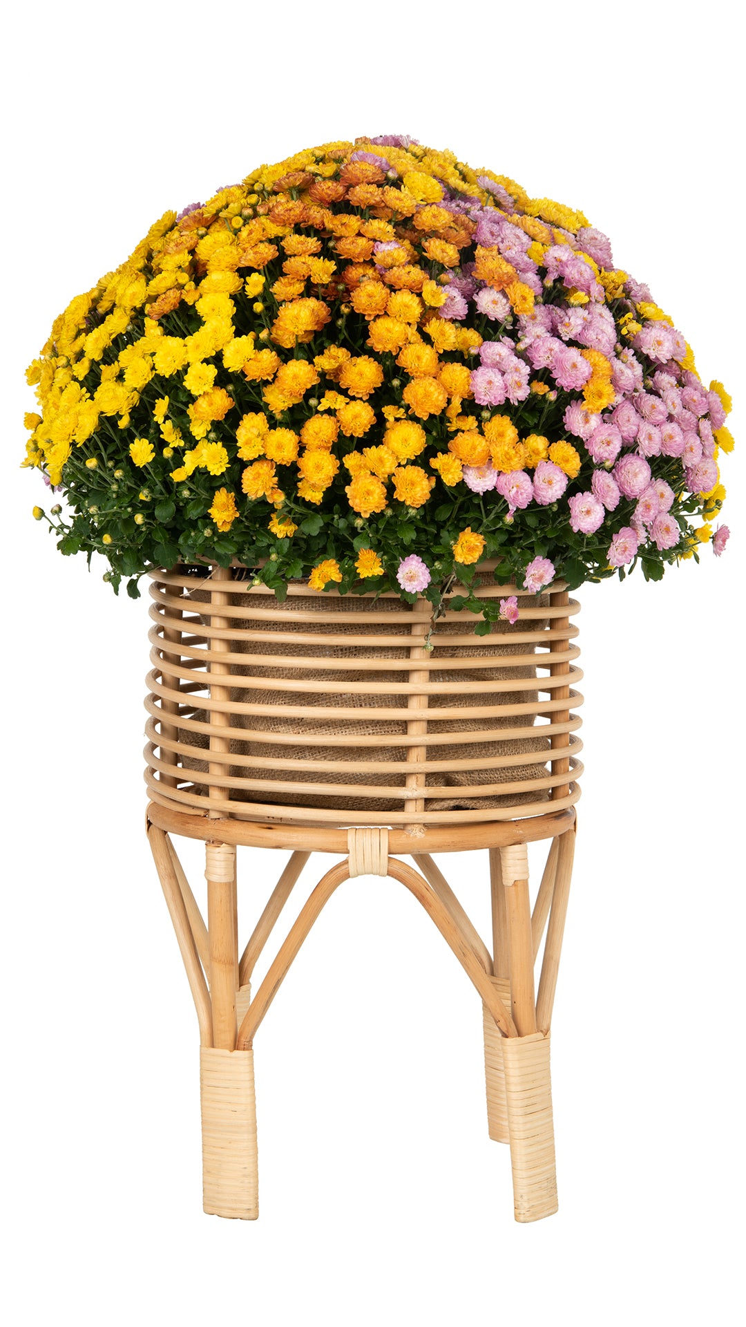 small rattan plant pot Kouboo 18" Small Rattan Coiled Planter Stand