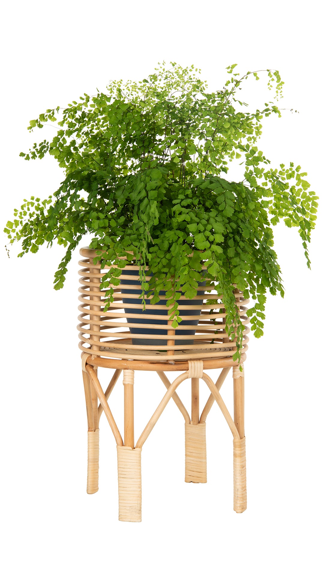 small plant table indoor Rattan Indoor Plant Stand, Small, Natural