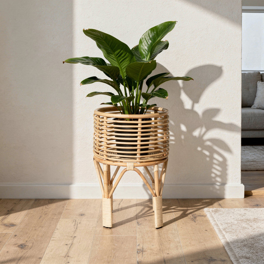 Rattan Indoor Plant Stand, Small, Natural