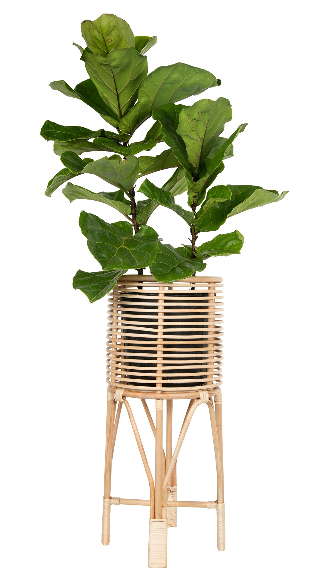 KOUBOO Rattan Indoor Plant Stand, Medium, Natural Planter, Brown