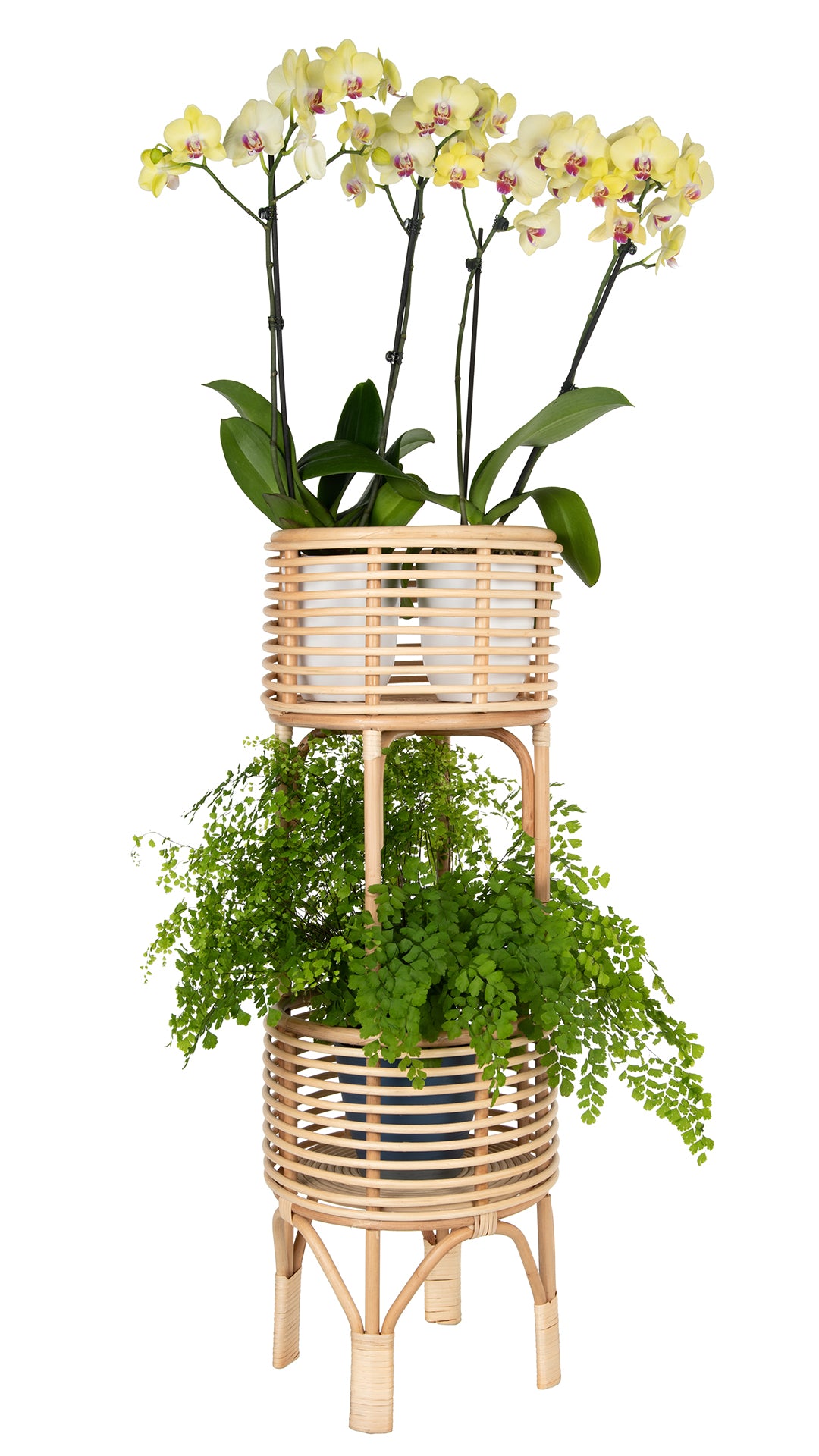 rattan plant hanger Rattan Indoor Two-Tier Plant Stand, Natural