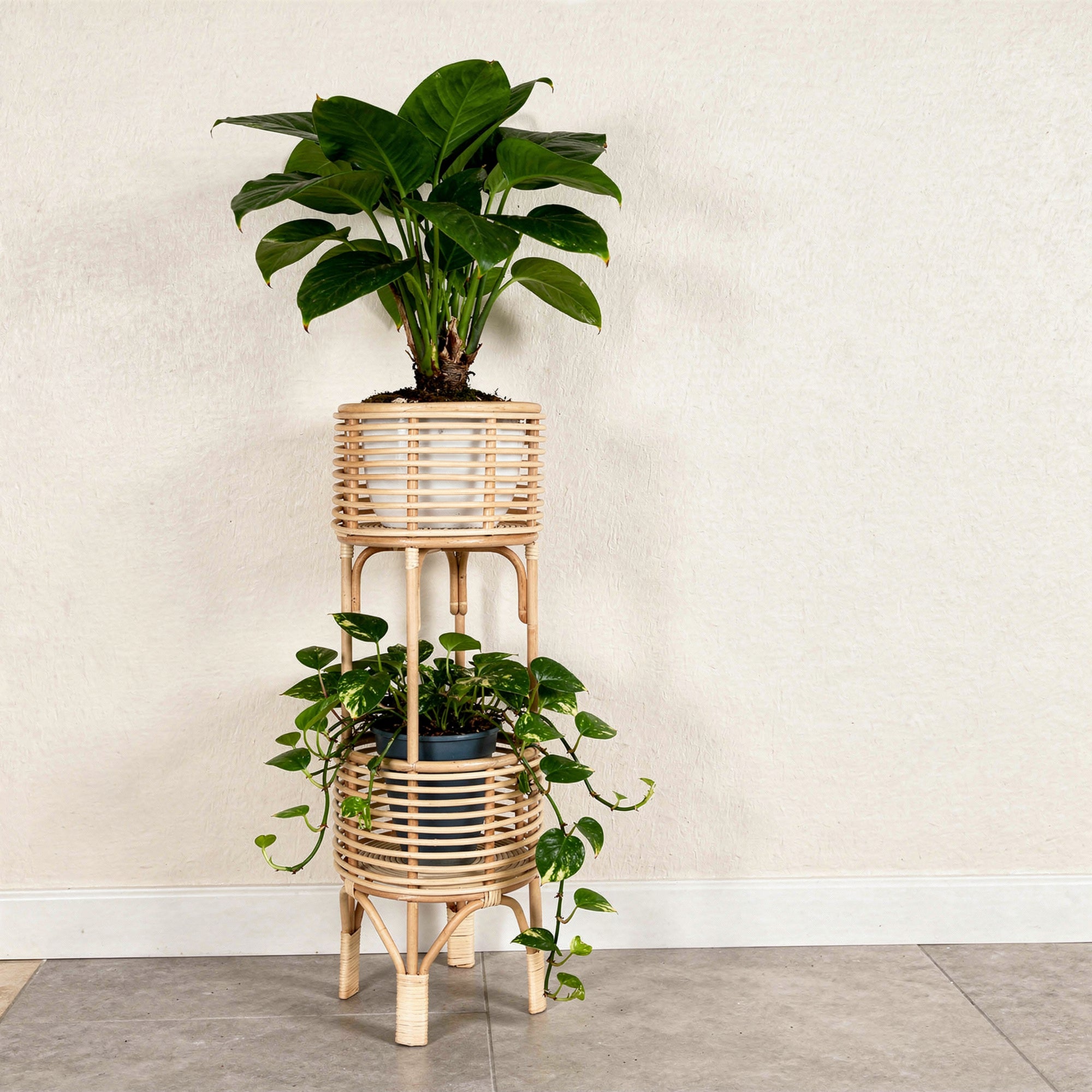 indoor plant stand nearby Rattan Indoor Two-Tier Plant Stand, Natural