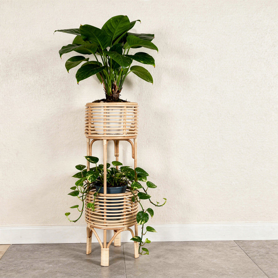 Rattan Indoor Two-Tier Plant Stand, Natural