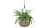 Kobo Rattan Hanging Basket and Planter, Brown-Gray