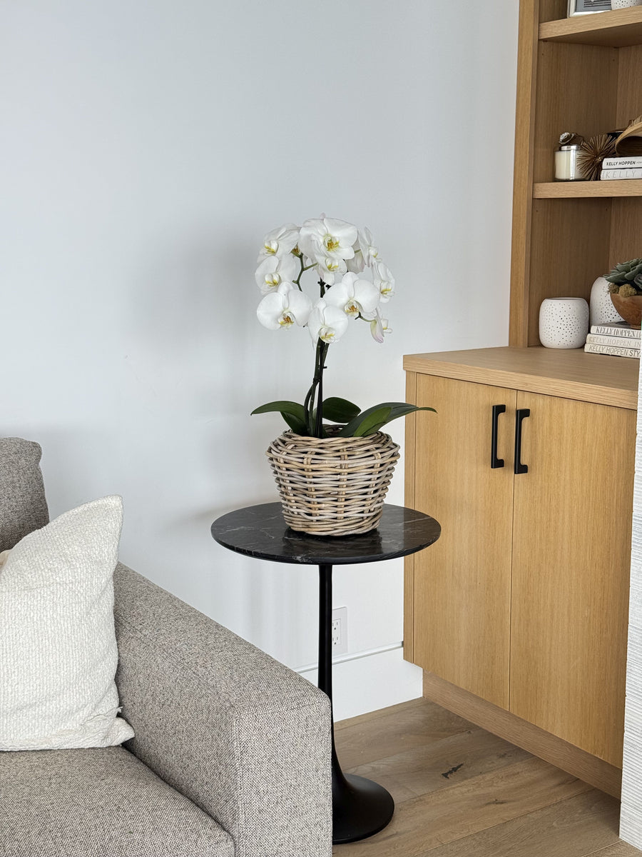 Rattan Kobo Indoor & Outdoor Planter Basket with Plastic Pot