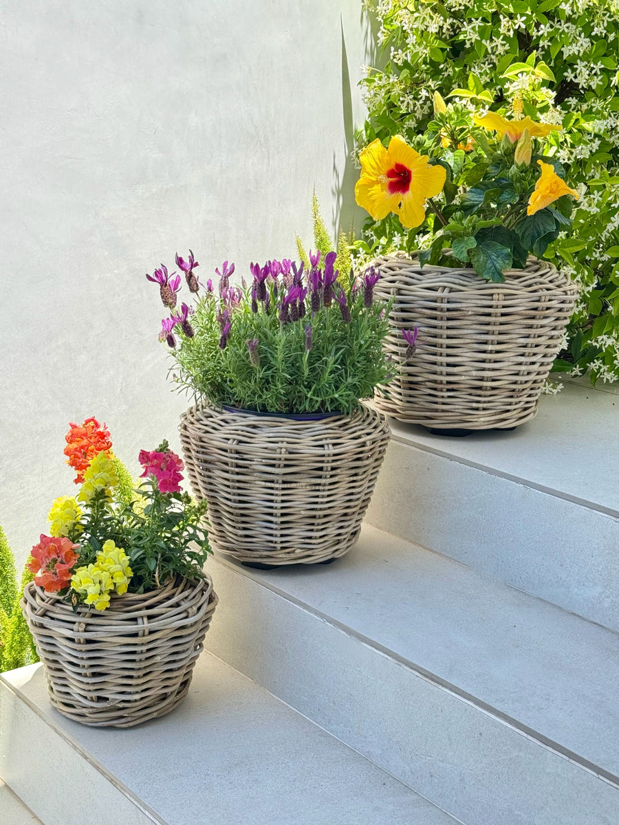 Rattan Kobo Indoor & Outdoor Planter Basket with Plastic Pot