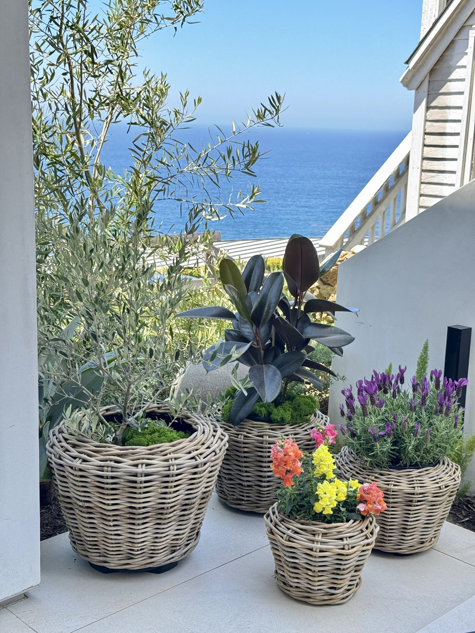 Rattan Kobo Indoor & Outdoor Planter Basket with Plastic Pot