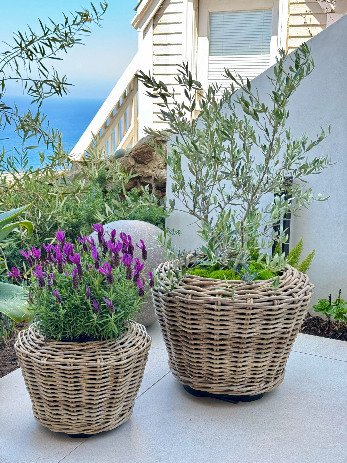 baskets for pot plants Rattan Kobo Indoor & Outdoor Planter Basket with Plastic Pot