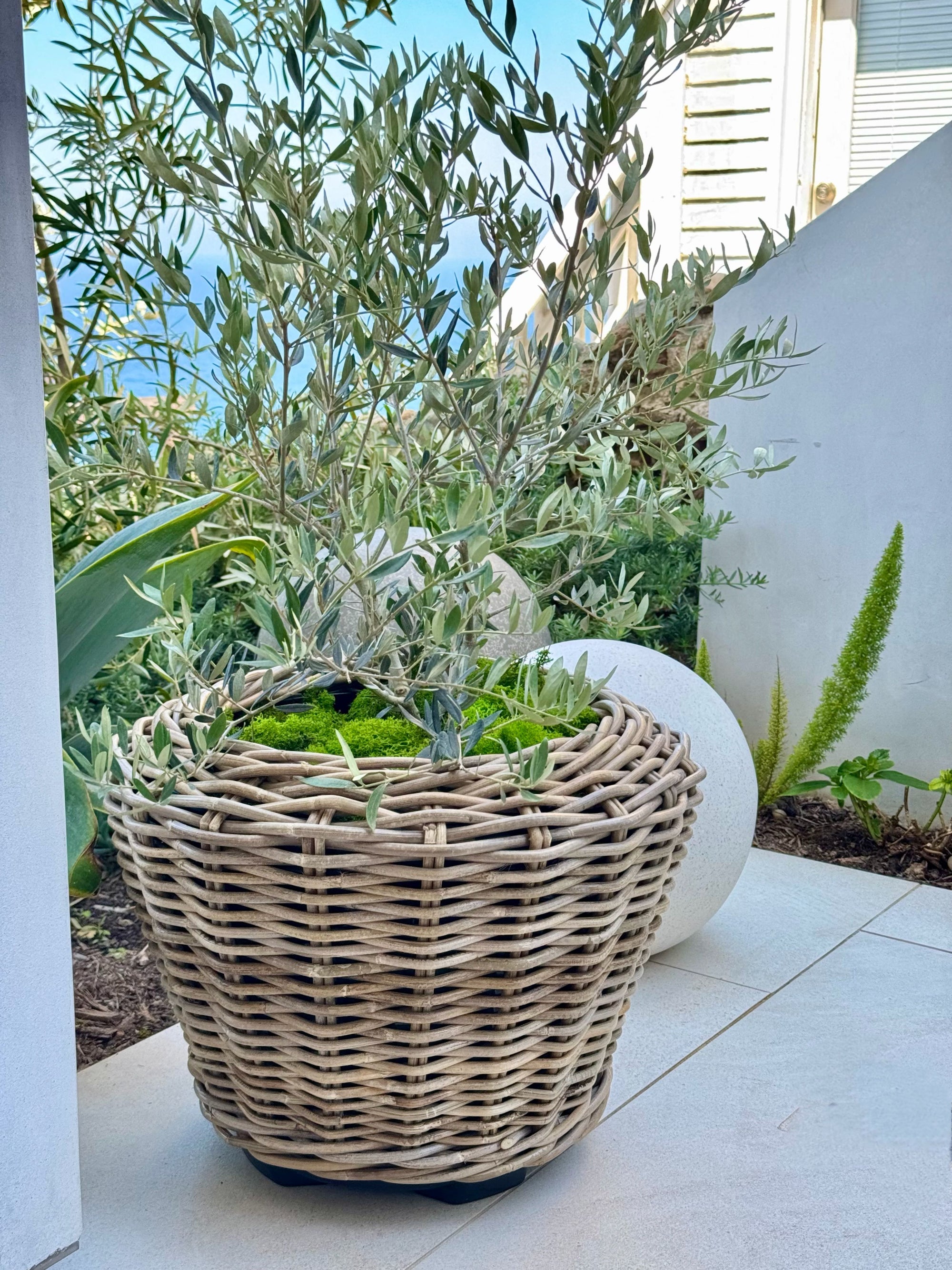 Rattan Kobo Indoor & Outdoor Planter Basket with Plastic Pot