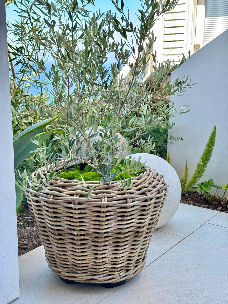 Rattan Kobo Indoor & Outdoor Planter Basket with Plastic Pot