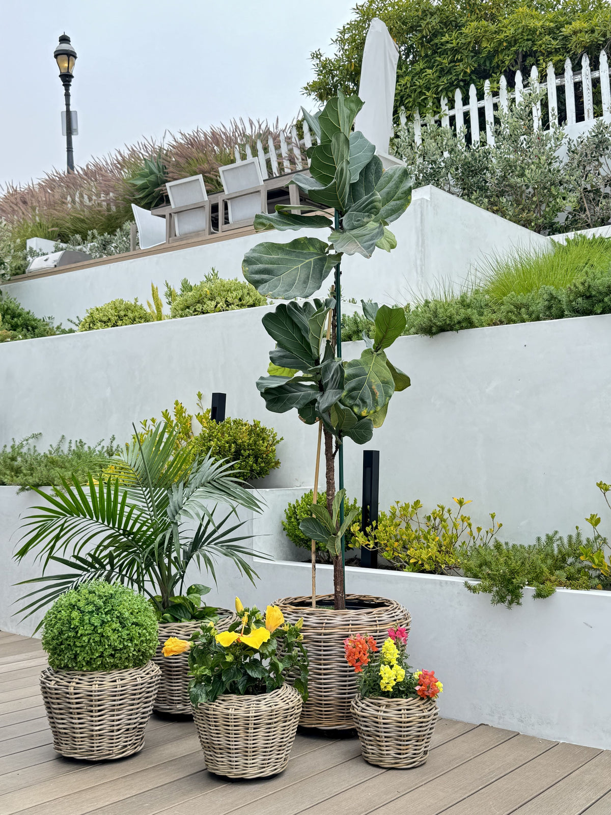 planter basket indoor Rattan Kobo Indoor & Outdoor Planter Basket with Plastic Pot