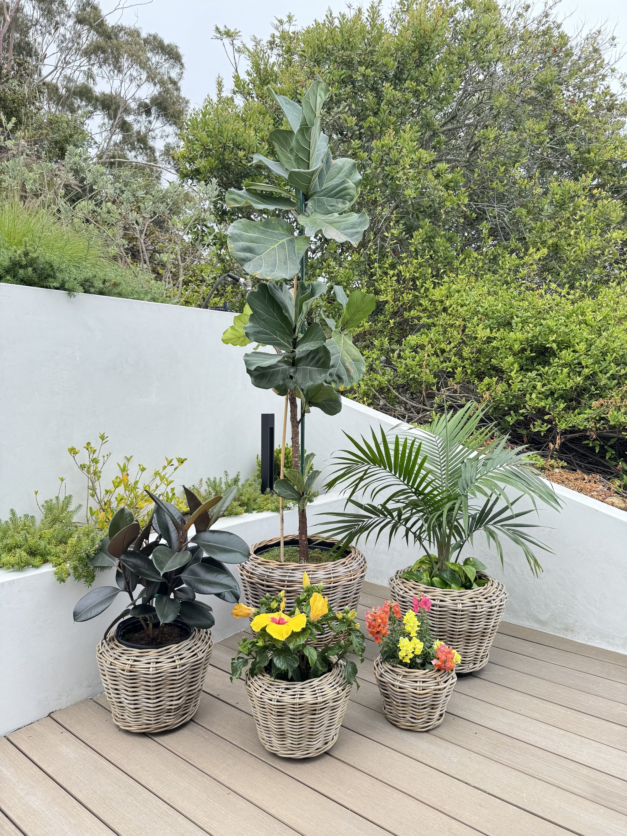 Rattan Kobo Indoor & Outdoor Planter Basket with Plastic Pot