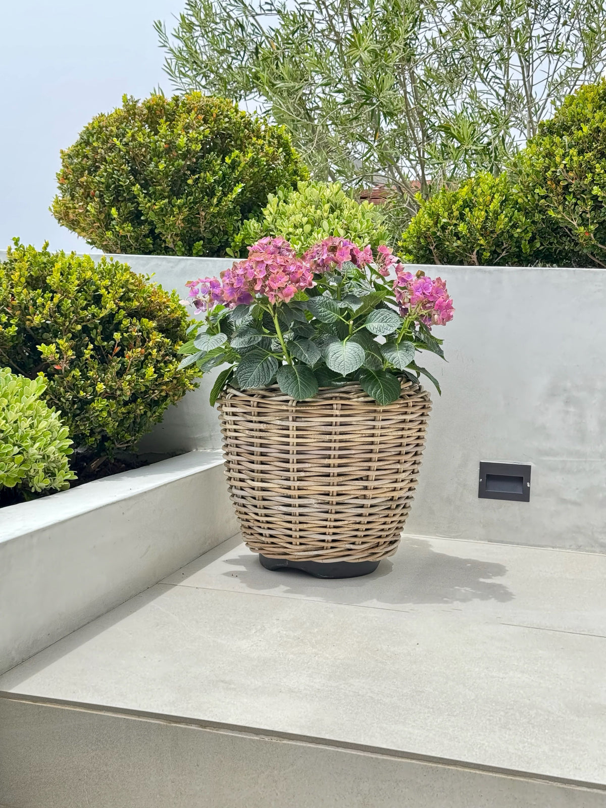 plastic plant baskets Rattan Kobo Indoor & Outdoor Jar Planter Basket with Plastic Pot