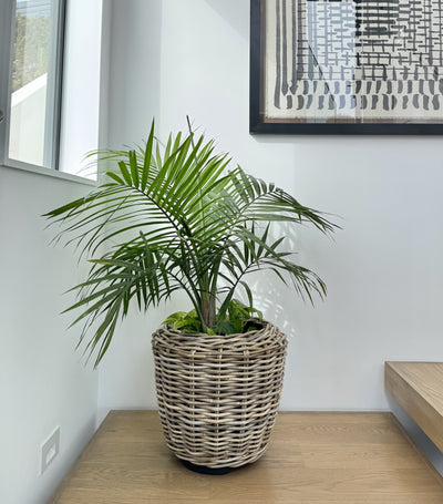 Rattan Kobo Indoor & Outdoor Jar Planter Basket with Plastic Pot