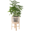 Round Rattan Planter Stand with Handmade White Cotton Rope Macrame for Indoor Use