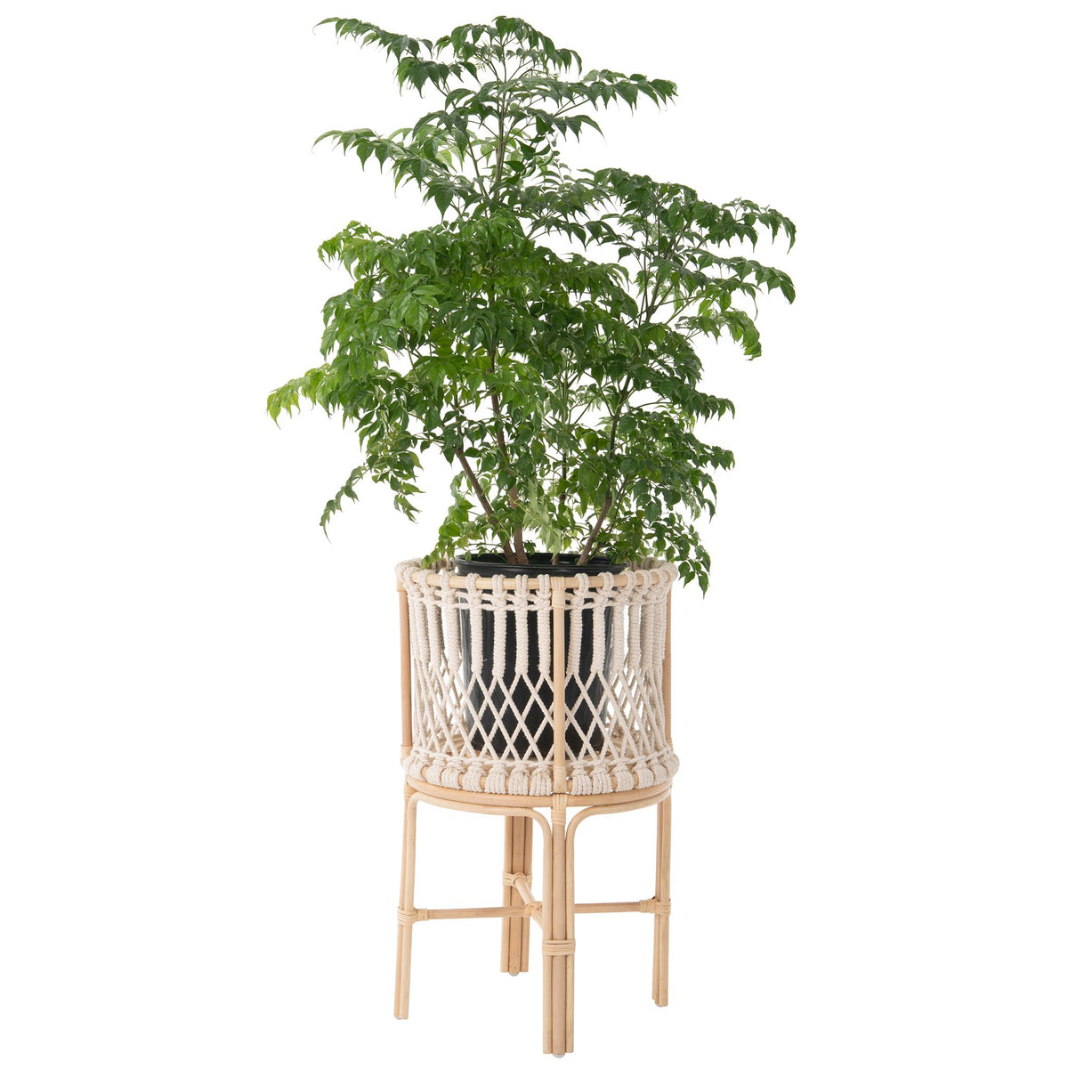 Round Rattan Planter Stand with Handmade White Cotton Rope Macrame for Indoor Use