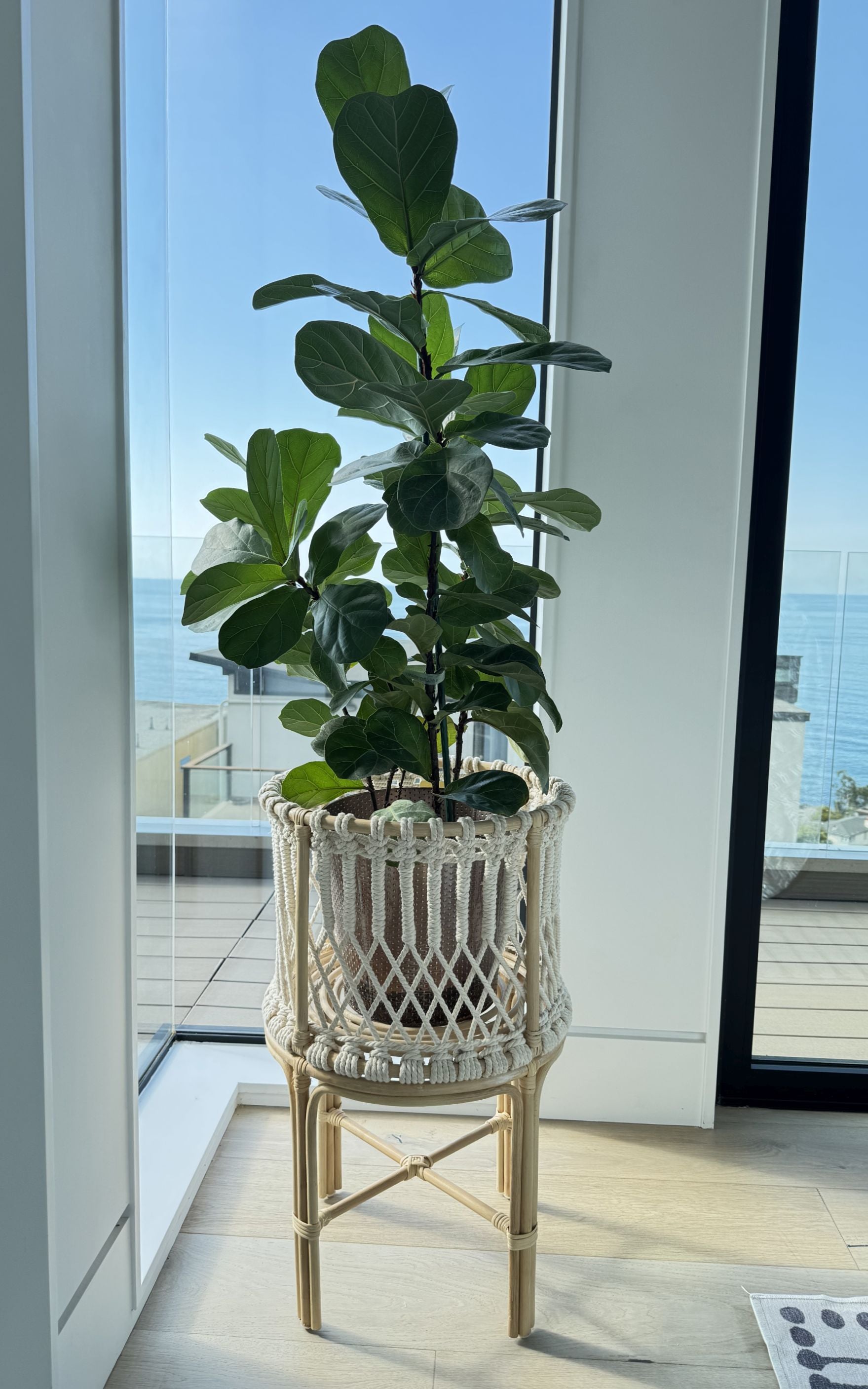 basket for large indoor plant Round Rattan Planter Stand with Handmade White Cotton Rope Macrame for