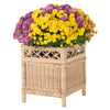 Square Rattan Planter Stand - for Indoor Plants