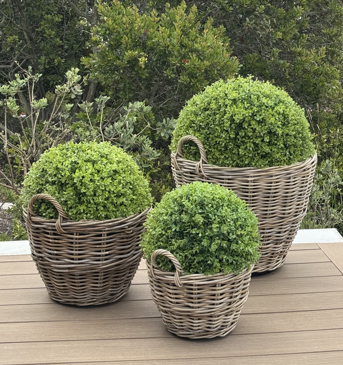 wicker pot plant Rattan Kobo Indoor & Outdoor Planter Basket with Ear Handles & Plastic