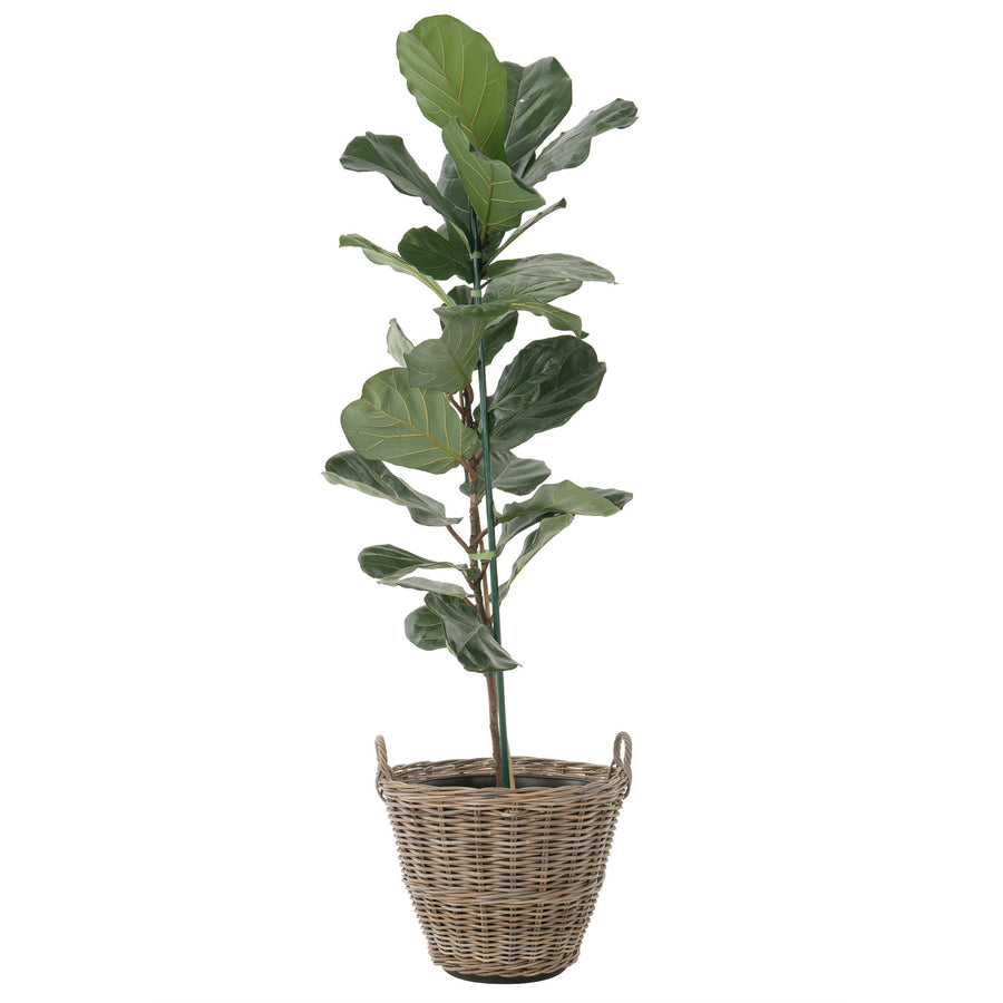 Rattan Kobo Indoor & Outdoor Planter Basket with Ear Handles & Plastic Pot