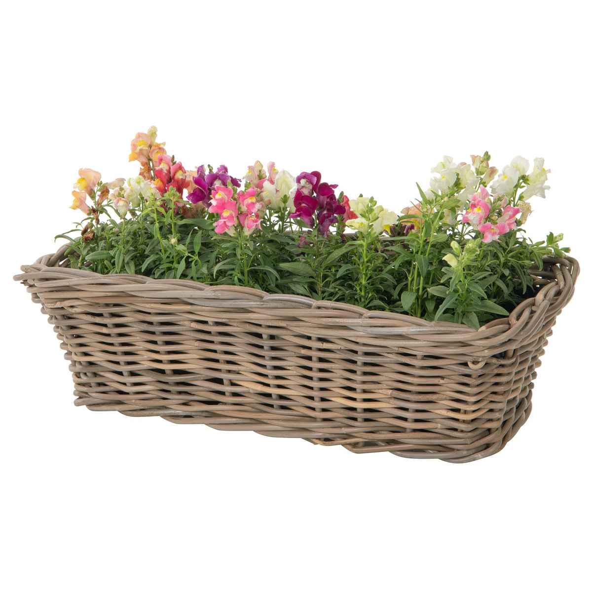 plastic lined plant basket Rectangular Kobo Rattan Indoor and Outdoor Planter Basket