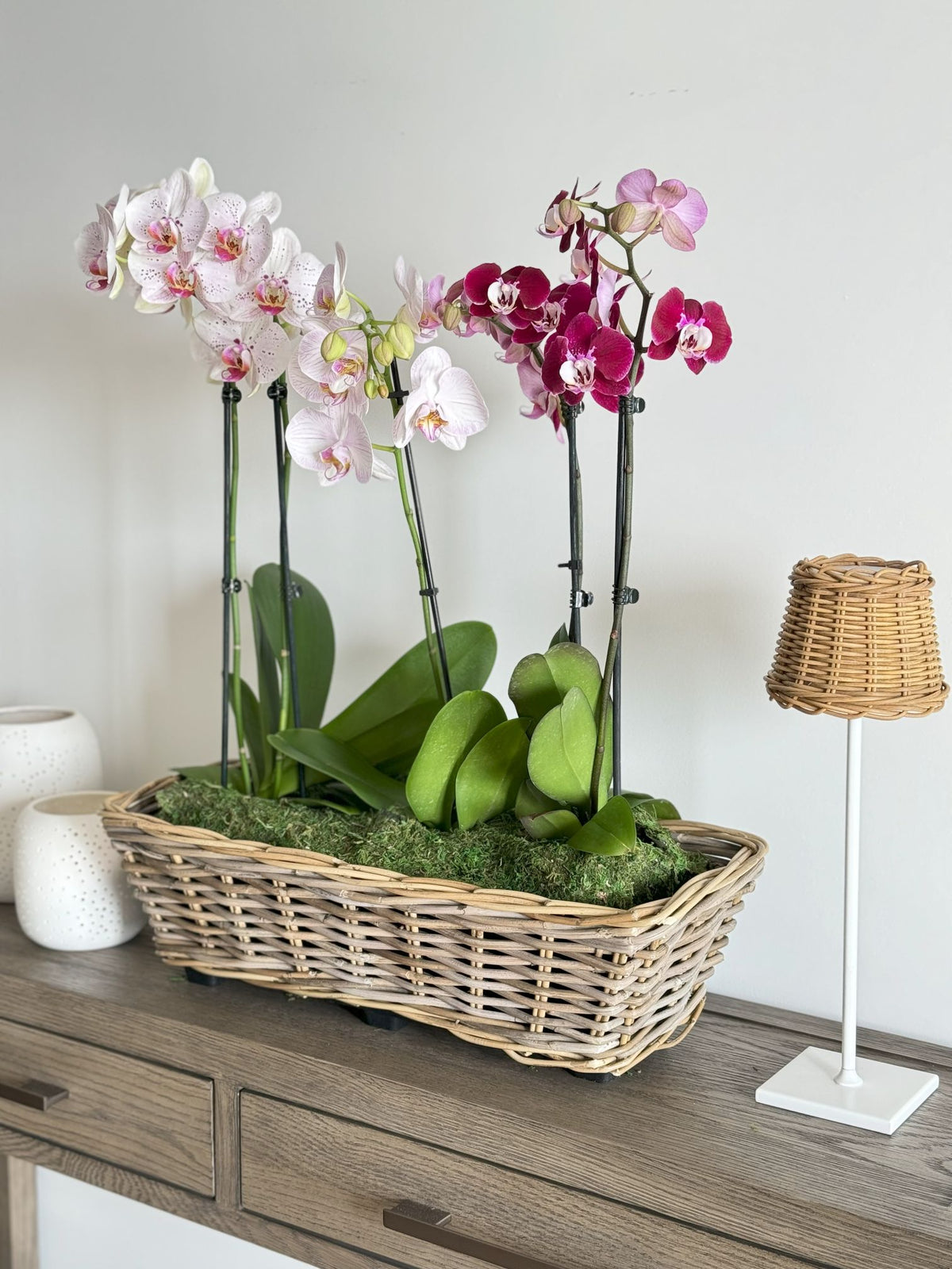 plastic basket liners for plants Rectangular Kobo Rattan Indoor and Outdoor Planter Basket