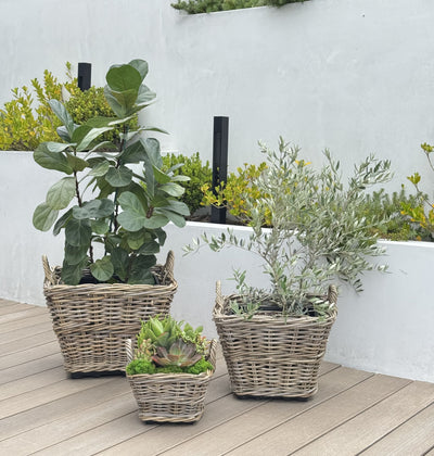 Rattan Kobo Indoor & Outdoor Square Planter Basket with Ear Handles & Plastic Pot