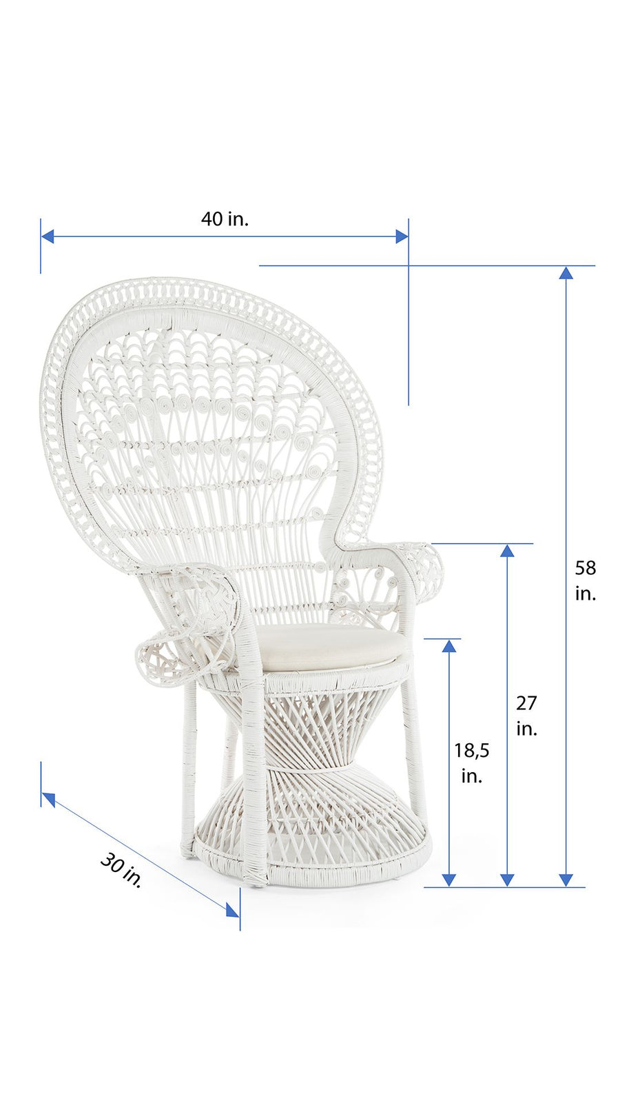 Grand Peacock Chair in Rattan