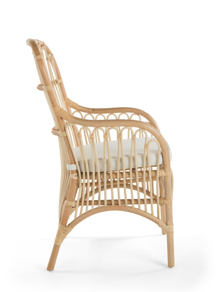 Rattan Loop Armchair with Seat Cushion, Set of 2 Chairs