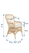 Rattan Loop Armchair with Seat Cushion, Set of 2 Chairs