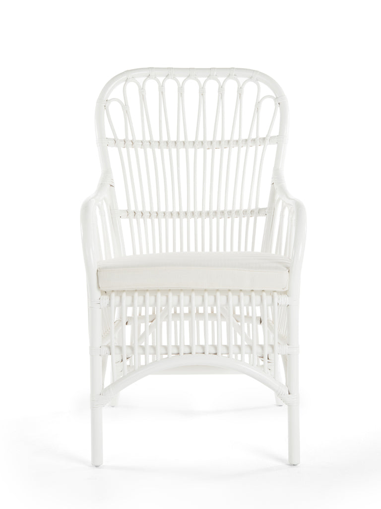 Rattan Loop Armchair with Seat Cushion, Set of 2 Chairs
