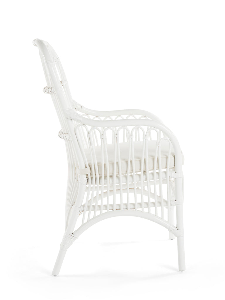 Rattan Loop Armchair with Seat Cushion, Set of 2 Chairs