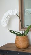 La Jolla Coco Rattan Planter and Bowl